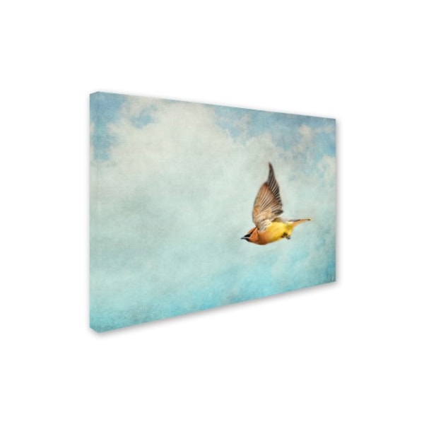 Jai Johnson 'Winter Flight Cedar Waxwing' Canvas Art,24x32